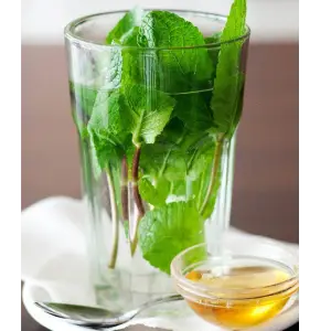 Munt thee