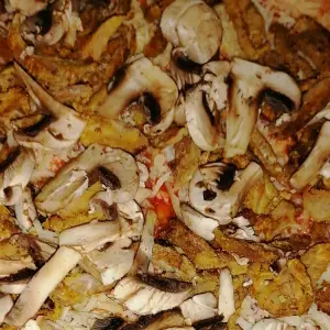 Pizza roma
