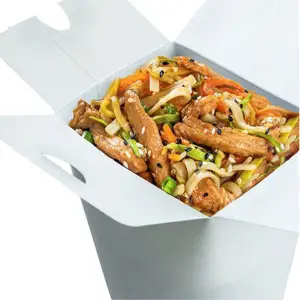 UDON CHICKEN KiNG PAO (HALAL) ca 750gr