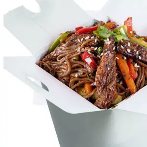 UDON BEEF TERIYAKI (HALAL) ca 450gr