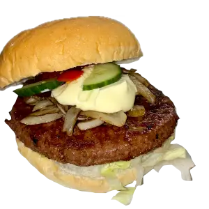 Vega hendo burger