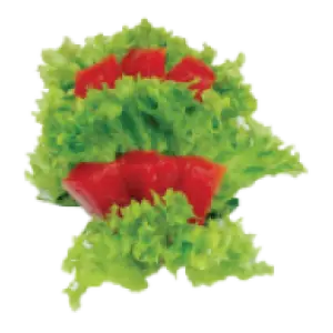 Sashimi Tonijn
