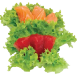 Sashimi Zalm & Tonijn