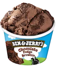 Ben & Jerry's Chocolate Fudge Brownie 100ml