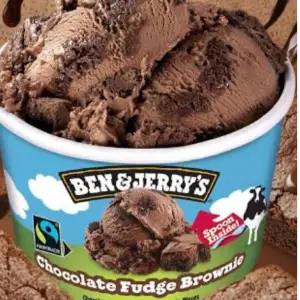 Ben & Jerry's Chocolate fudge brownie