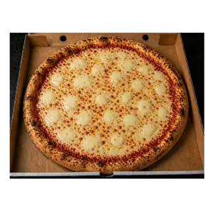 Pizza Mozzarella Special