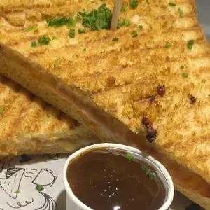 Croque Ham-Kaas