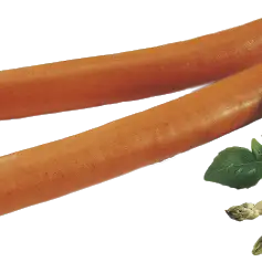 Knakworst